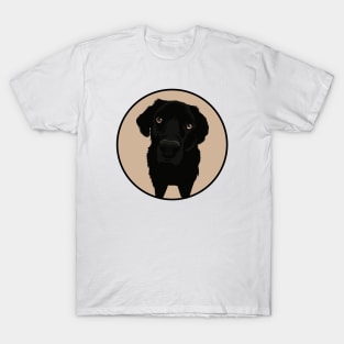 Black Labrador Retriever Dog Original Desing Yako T-Shirt